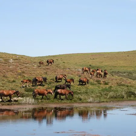 Cantinho Do Cantador