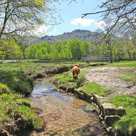 Casa di campagna Cantinho Do Cantador *