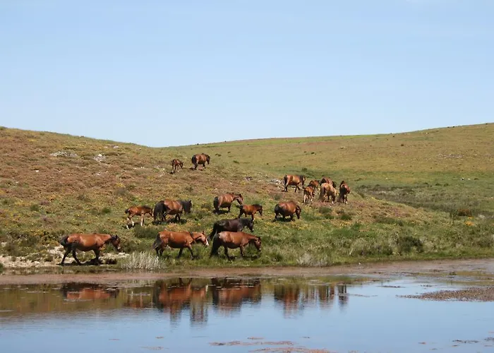 Cantinho Do Cantador