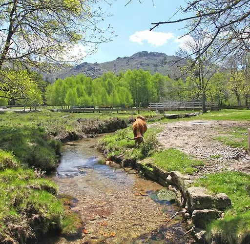 Летний дом Cantinho Do Cantador *
